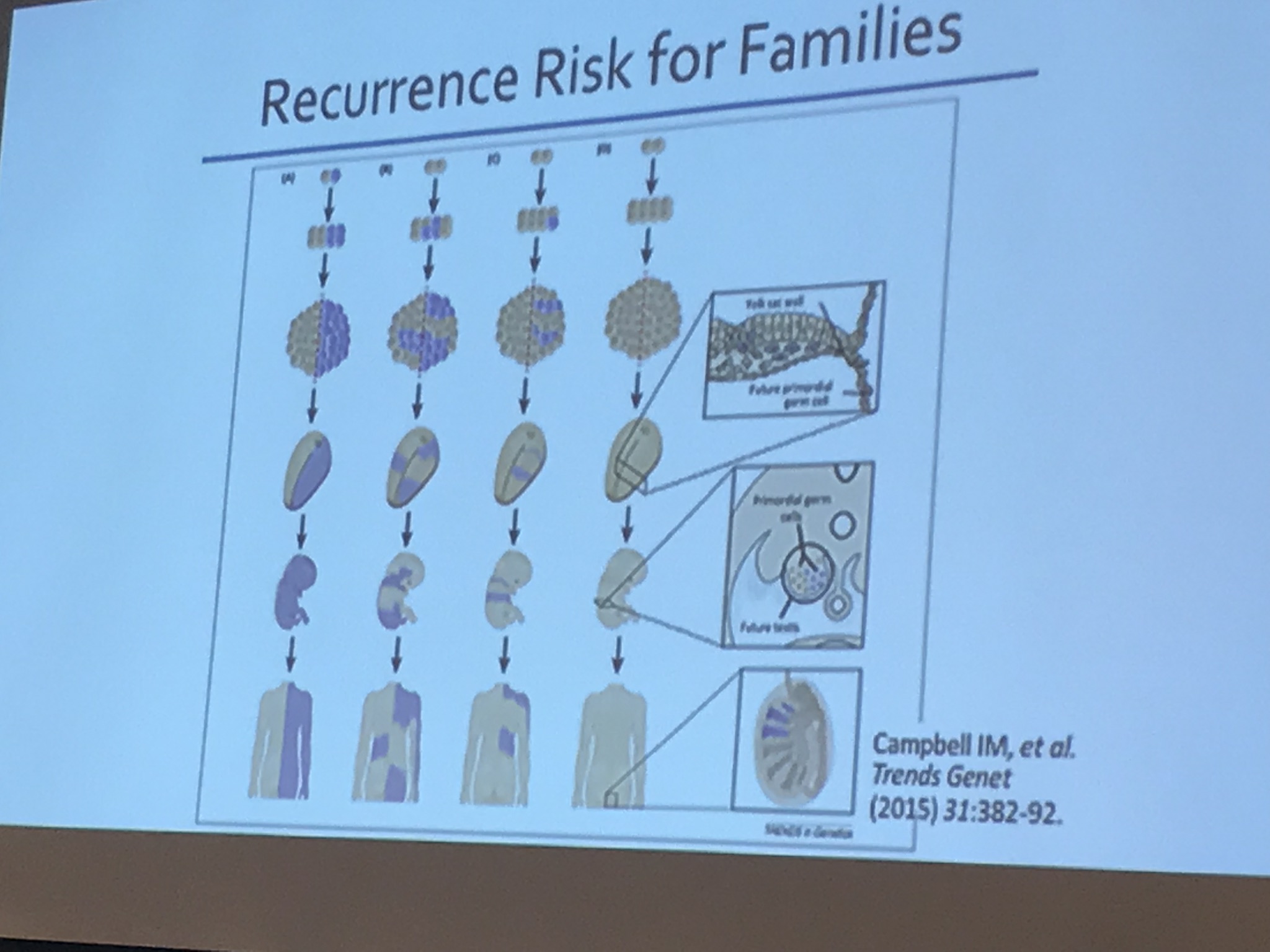 Slide showing information on recurrence risk for families